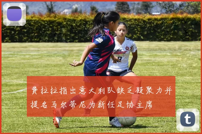 费拉拉指出意大利队缺乏凝聚力并提名马尔蒂尼为新任足协主席
