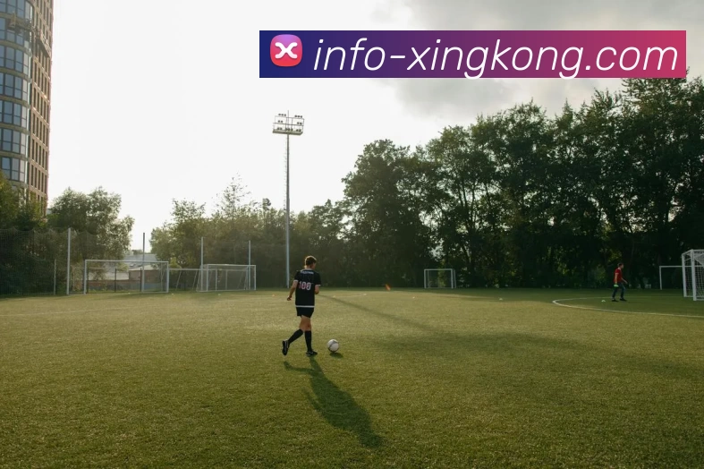 星空体育发展历程