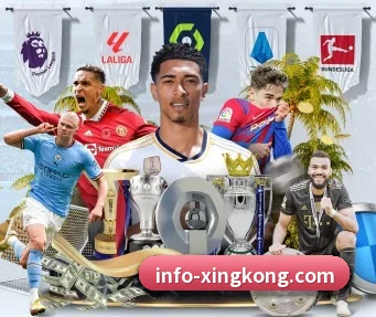 星空体育 APP（StarskySports）